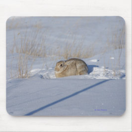 Mousepad Coelho Cottontail R5 na Neve