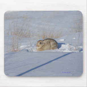 Mousepad Coelho Cottontail R5 na Neve