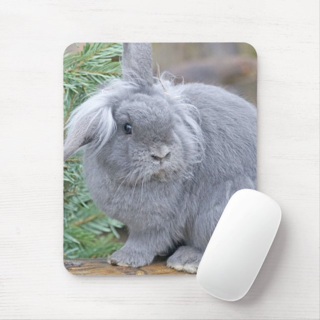 Mousepad Coelho da cinza (Com mouse)
