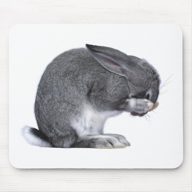 Mousepad Coelho de desespero (Frente)