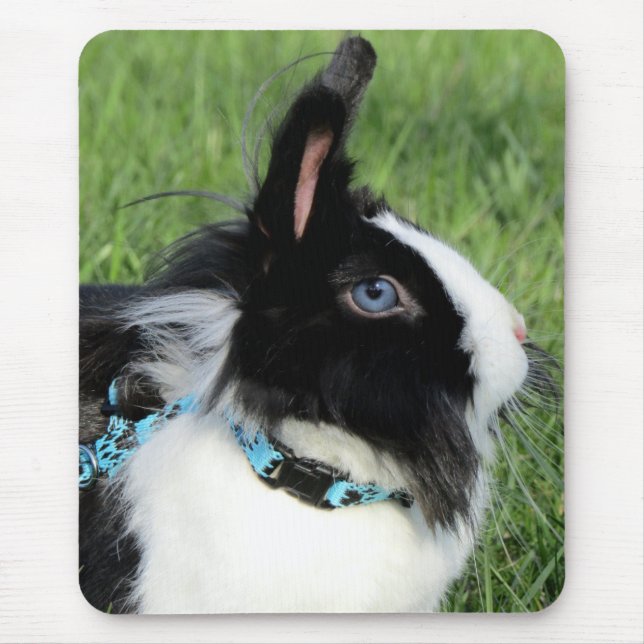 Mousepad Coelho de Lionhead Branco e Preto Fluffy (Frente)