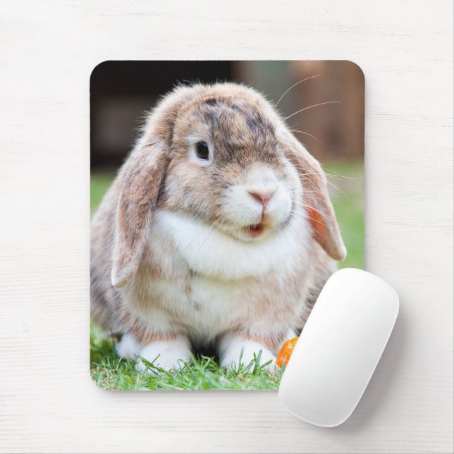 Mousepad Coelho-de-orelha-branca (Com mouse)