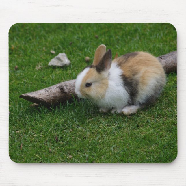 Mousepad Coelho Doce (Frente)