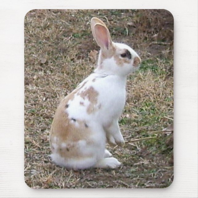 Mousepad Coelho Espetado... (Frente)