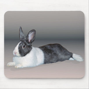 Mousepad Coelho holandês que relaxa