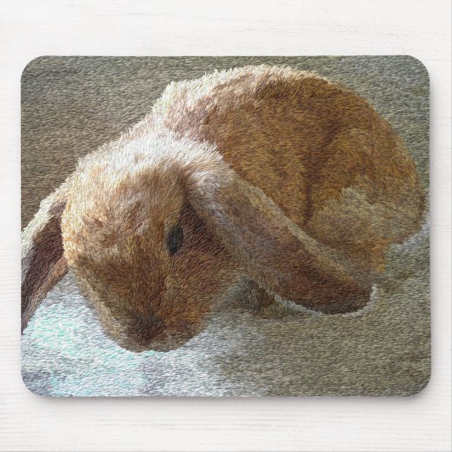 Mousepad Coelho orelhudo de Holland Lop (Frente)