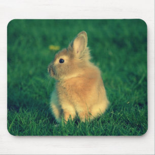 Mousepad Coelho pequeno