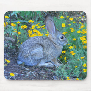 Mousepad Coelho selvagem em flores amarelas