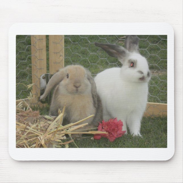 Mousepad Coelhos (Frente)