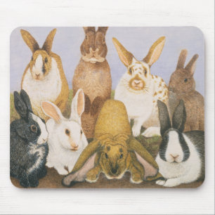 Mousepad Coelhos afortunados