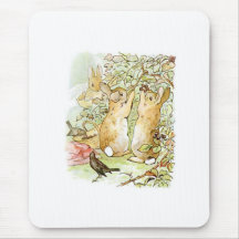 Coelhos coelhos: Picagem de Blackberry (Beatrix Po