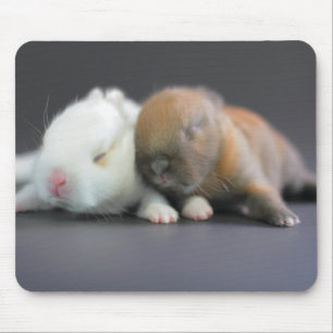 Mousepad Coelhos do anão de Netherland
