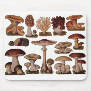 Mousepad Cogumelo-da-índia hipster-vegetariano