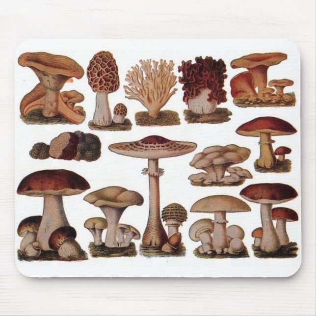 Mousepad Cogumelo-da-índia hipster-vegetariano (Frente)