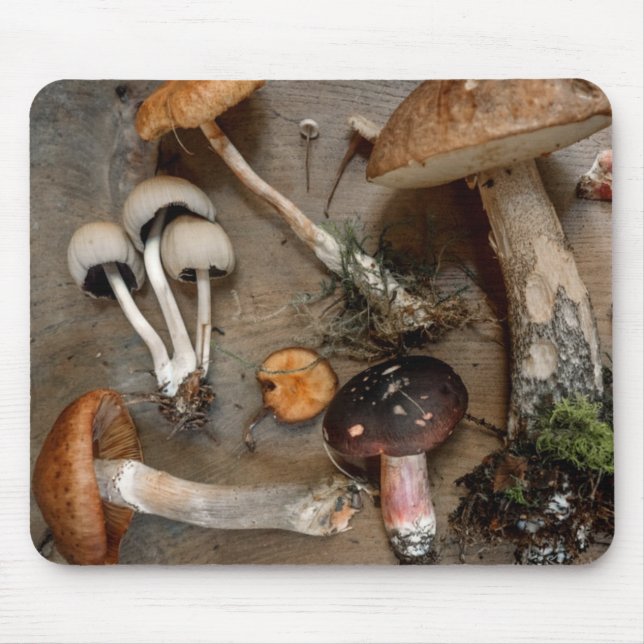 Mousepad Cogumelos Adoram Fungos (Frente)