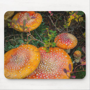 Mousepad Cogumelos agáricos voadores no Lago Mowich