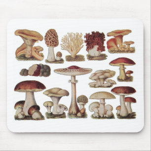 Mousepad Cogumelos Botânicos Vintage