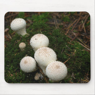 Mousepad Cogumelos do puffball do Lycoperdon