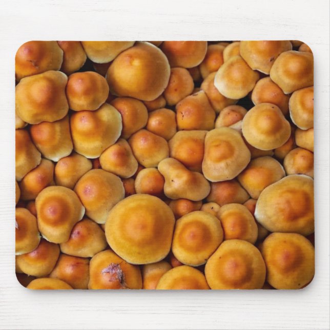 Mousepad Cogumelos Fungus (Frente)