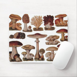 Mousepad cogumelos hipster botânico francês