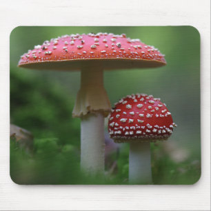 Mousepad Cogumelos mágicos
