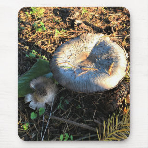 Mousepad Cogumelos, Oregon
