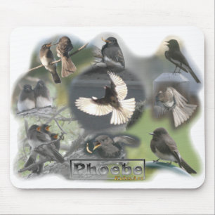 Mousepad Colagem da foto dos pássaros de Phoebe