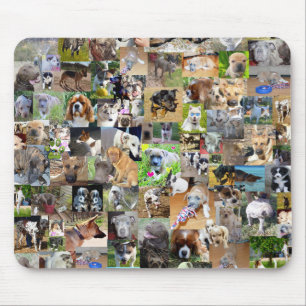 Mousepad Colagem de Fotografias de Cães,
