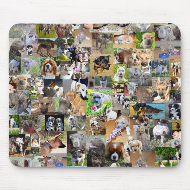 Mousepad Colagem de Fotografias de Cães, (Frente)