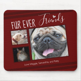 Mousepad Colagem de Fotos de Pet para Amigos para Sempre