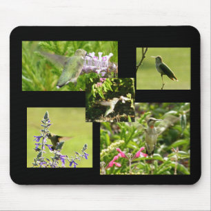Mousepad Colagem do colibri
