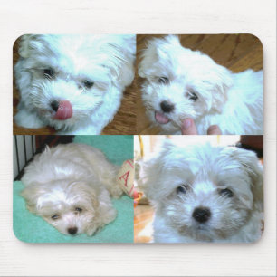 Mousepad Colagem do filhote de cachorro de Riley Malti-poo