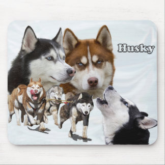 Mousepad colagem ronca