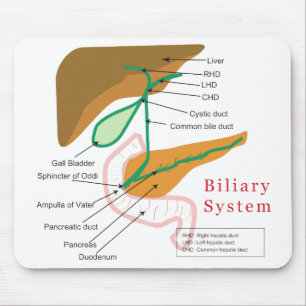Mousepad Colagogo biliar da carta do diagrama de sistema