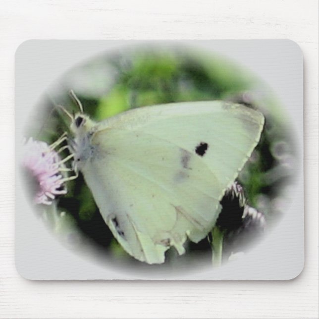 Mousepad Coleção da borboleta (Frente)