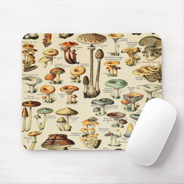 Mousepad Coleção de Cogumelos (Com mouse)