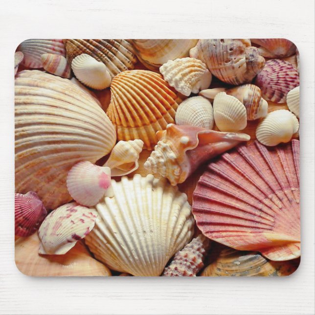 Mousepad Coleção de Conchas e Amêijoas de Costeiras (Frente)