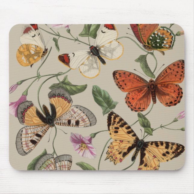 Mousepad Coleção de Desenhos de Mariposa Borboleta Natureza (Frente)