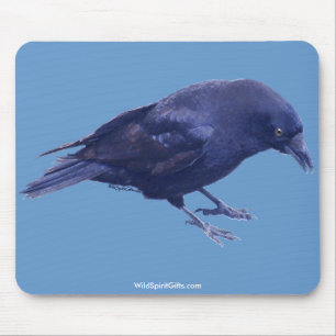 Mousepad Coleção do CORVO