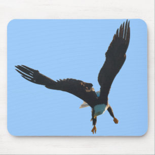 Mousepad Coleção do vôo da águia americana