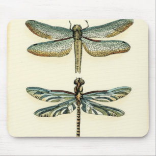 Mousepad Coleção Dragonfly por Chariklia Zarris