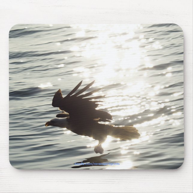 Mousepad Coleção legal de Selvagem de Águia Balda (Frente)