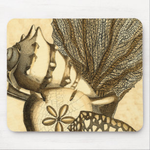 Mousepad Coleção Neutral de Cascas e Corais
