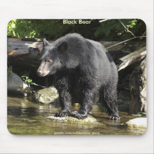 Mousepad Coleção SELVAGEM da foto do urso preto dos