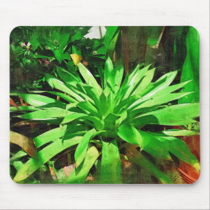 Mousepad coleção tropical da folha, Fairchild g tropical