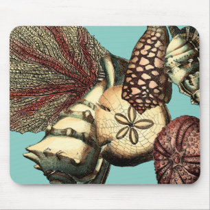 Mousepad Coleção Turquesa Shell e Red Coral