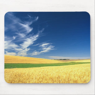 Mousepad Colheita de trigo no Palouse no leste