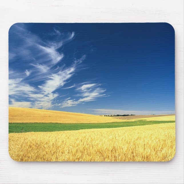 Mousepad Colheita de trigo no Palouse no leste (Frente)