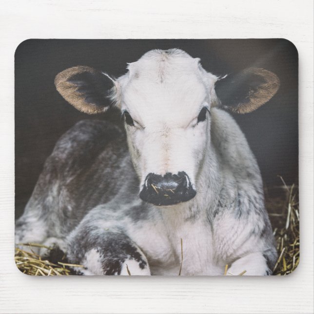 Mousepad Colheita ocupada do dia (Frente)