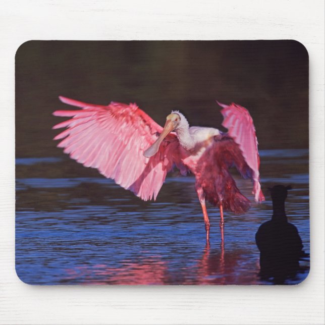 Mousepad Colhereiro com Cormorão (Frente)